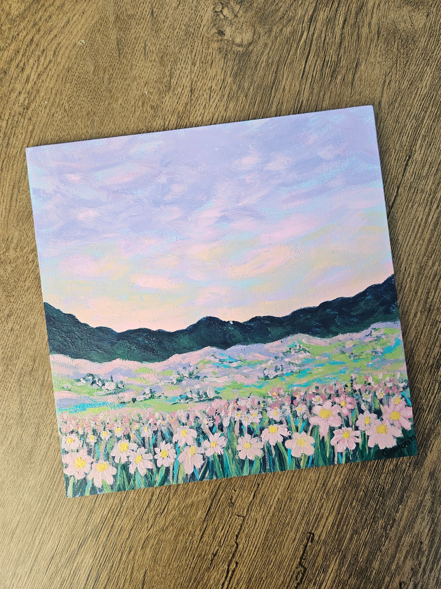 COLLOROSA Original - Soft Summer