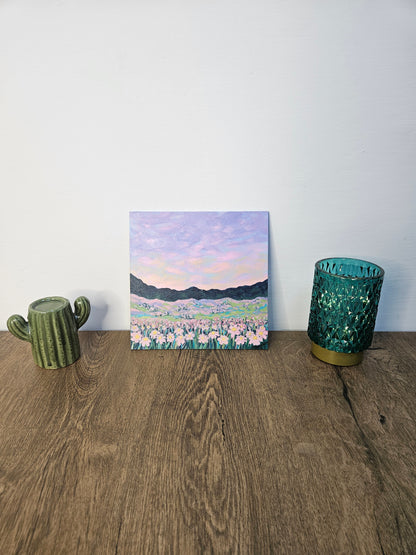 COLLOROSA Original - Soft Summer